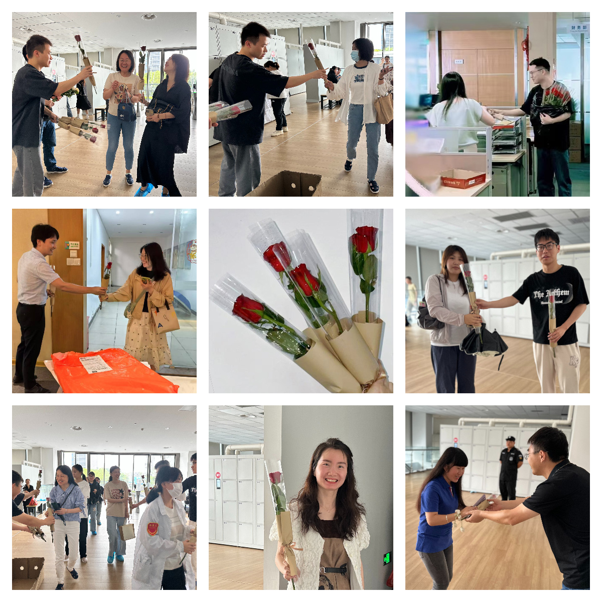 以玫瑰之名，致敬每一個(gè)發(fā)光的你(圖2)